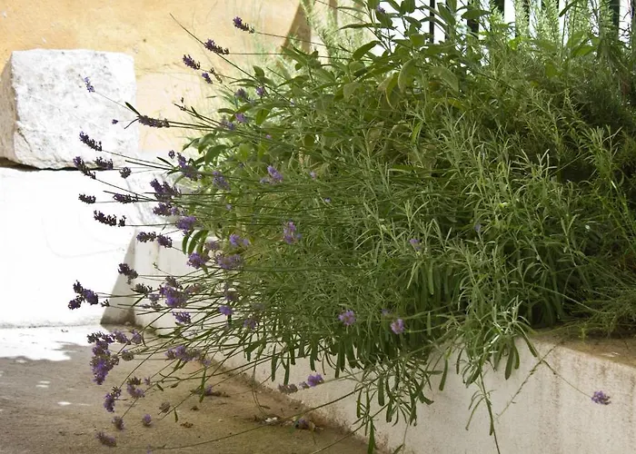 Panzió Eco Old Town